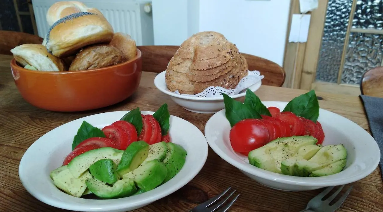 Henriëtta Appartement Antwerpen Accommodatie bij particulieren